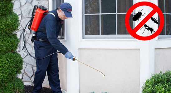 Bahçe Hamam Böceği İlaçlama böcek ilaçlama ve haşere kontrolü — ilaclama-tr.com